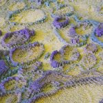 The science of color: how shades affect our perceptions