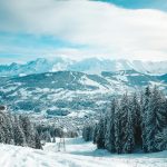 How to choose the perfect camera for your needs