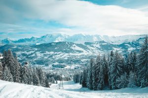 How to choose the perfect camera for your needs