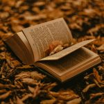 The quiet revolution of heads-up displays