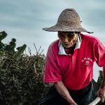 Cultivating Resilience: Strategies for Bouncing Back from Adversity