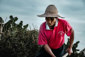 Cultivating Resilience: Strategies for Bouncing Back from Adversity