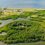 How to find a vacation that also helps the environment