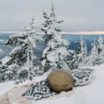 How to choose the perfect scent for your home